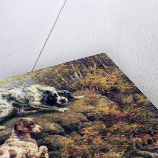 Pointer, Setter and Grouse by Edmund Henry Osthaus