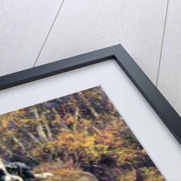 Pointer, Setter and Grouse by Edmund Henry Osthaus