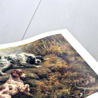 Pointer, Setter and Grouse by Edmund Henry Osthaus
