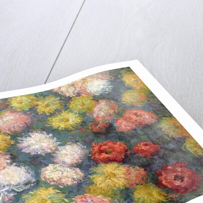 Chrysanthemums, 1897 by Claude Monet