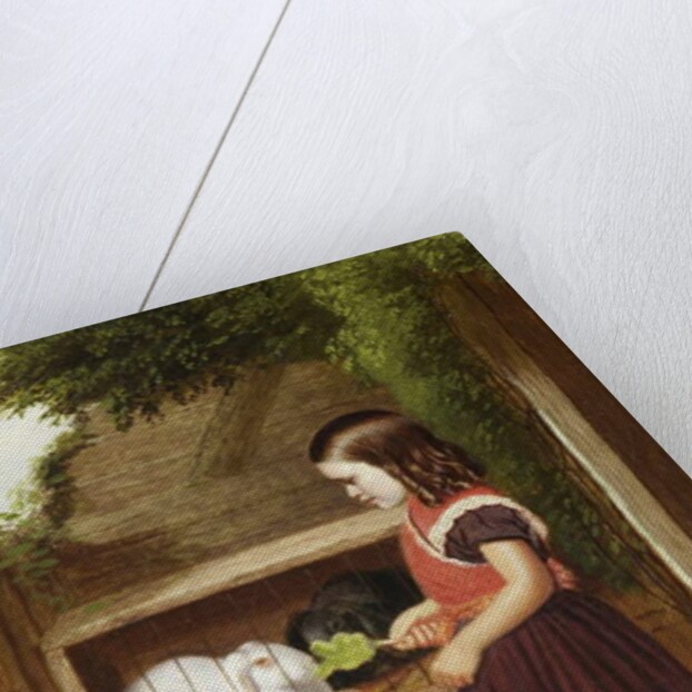 Feeding the Rabbits, 1868 by Charles Ashmore