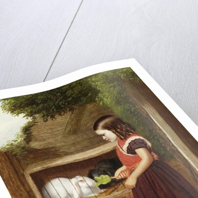 Feeding the Rabbits, 1868 by Charles Ashmore