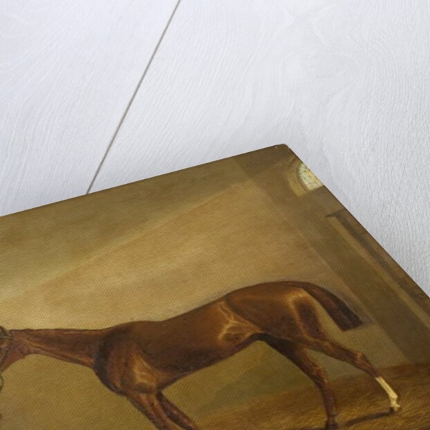 Bravissimo, Winner of the Monmouthshire Hunt Cup at Abergavenny by James Flewitt Mullock