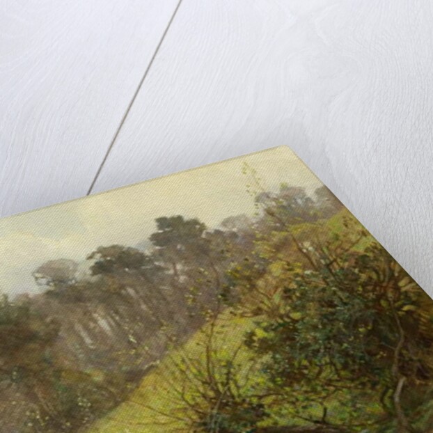 Geese and Goslings by Benjamin Haughton