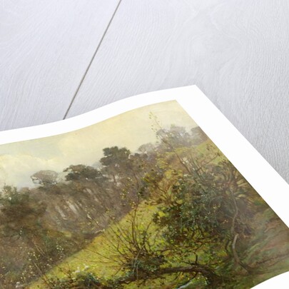 Geese and Goslings by Benjamin Haughton