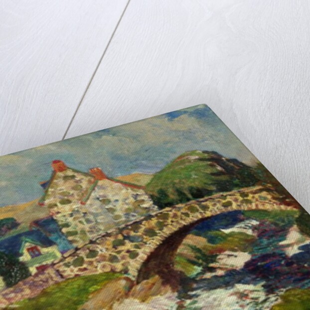 Llwygwril, Near Barmouth by Christopher Williams