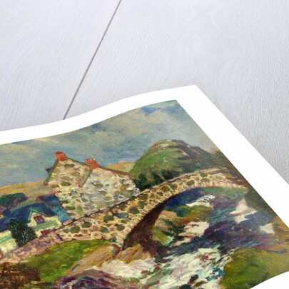 Llwygwril, Near Barmouth by Christopher Williams