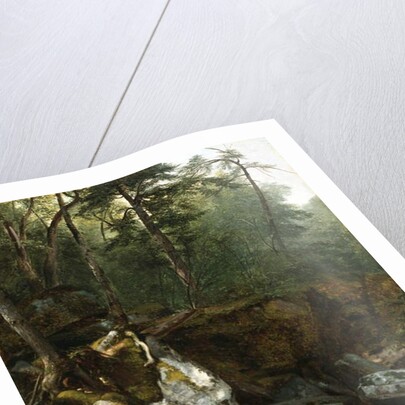 Study from Nature: Rocks and Trees in the Catskills, N.Y., 1856 by Asher Brown Durand