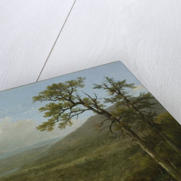 Adirondack Mountains, N.Y., 1870 by Asher Brown Durand