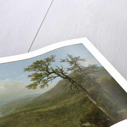 Adirondack Mountains, N.Y., 1870 by Asher Brown Durand