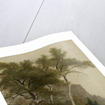 Landscape, 1855 by Asher Brown Durand