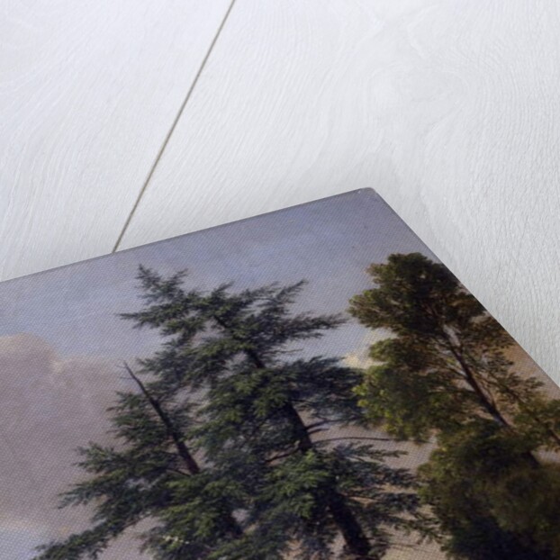 Tree Study, Newburgh, N.Y., 1849 by Asher Brown Durand