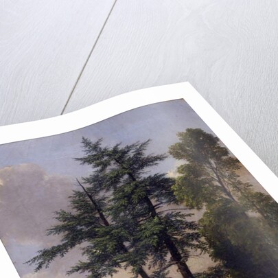 Tree Study, Newburgh, N.Y., 1849 by Asher Brown Durand