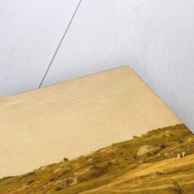 View in Central Park, N.Y.C., 1858 by Jervis McEntee