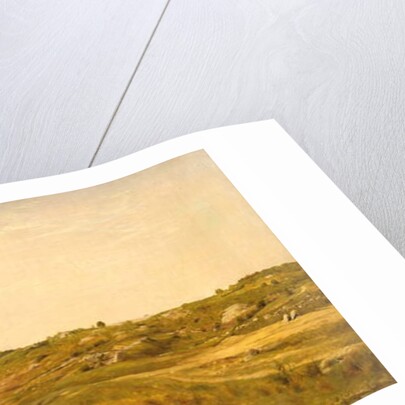 View in Central Park, N.Y.C., 1858 by Jervis McEntee