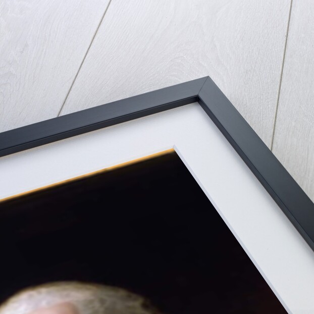 Portrait of George Washington by Asher Brown Durand