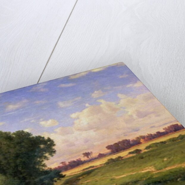 Hackensack Meadows, Sunset, 1859 by George Snr. Inness