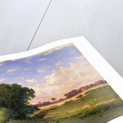 Hackensack Meadows, Sunset, 1859 by George Snr. Inness