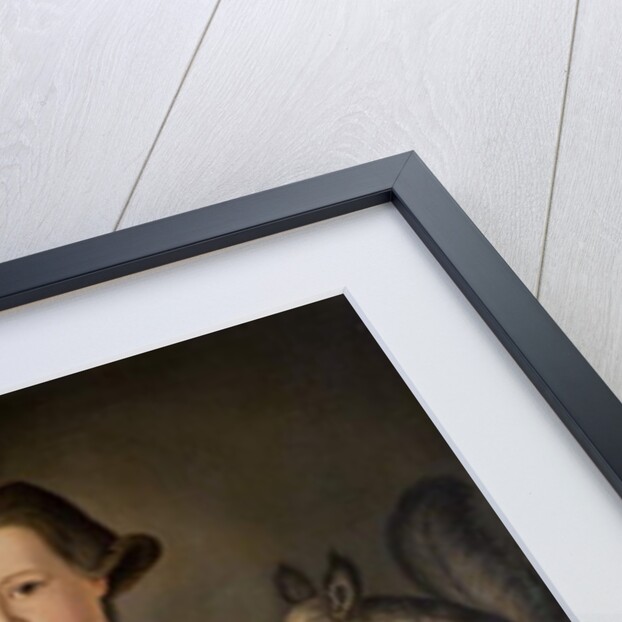 James Beekman Jnr, 1766 by John Durand