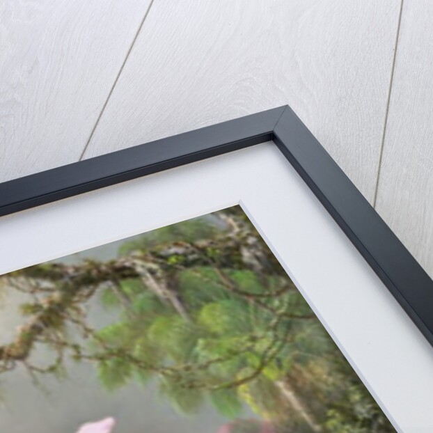 Study of an Orchid, 1872 by Martin Johnson Heade