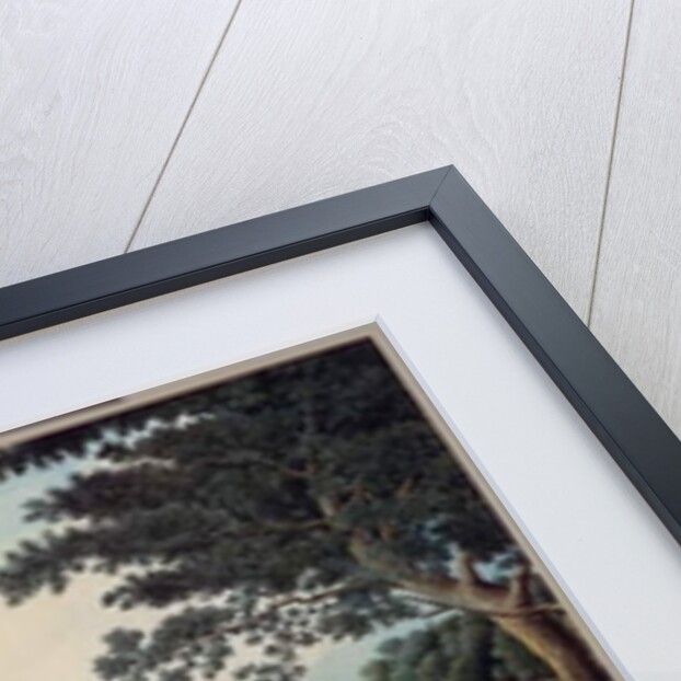 Niagara Falls from Below, c.1766 by Thomas Davies