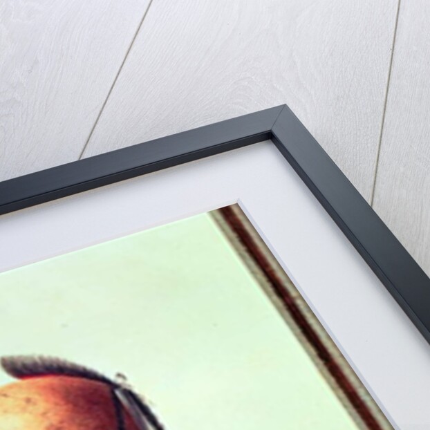 Indian Chief of the Little Osages, c.1807 by Charles Balthazar Julien Fevret de Saint-Memin