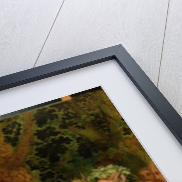 The Judgement of Midas, c.1615 by Flemish School