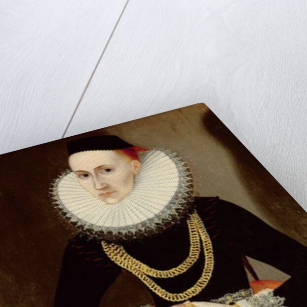 Portrait of a Young Lady, 1608 by German School