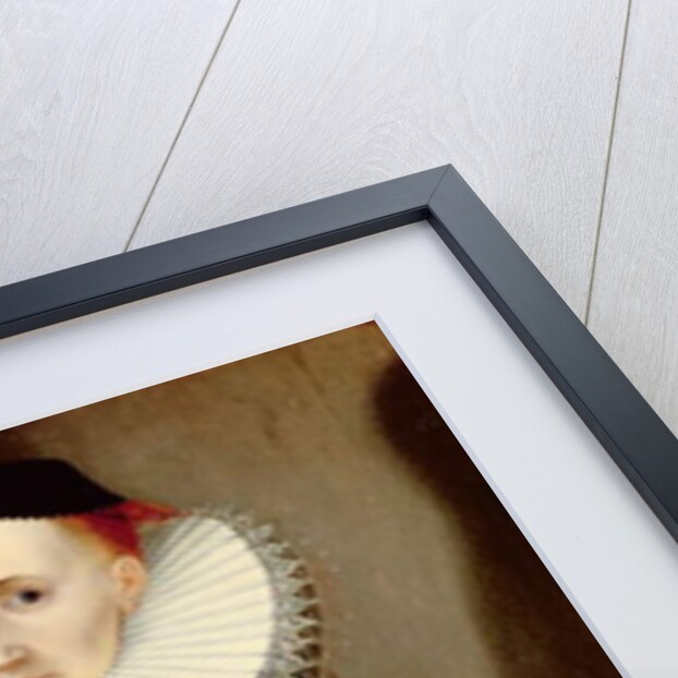 Portrait of a Young Lady, 1608 by German School