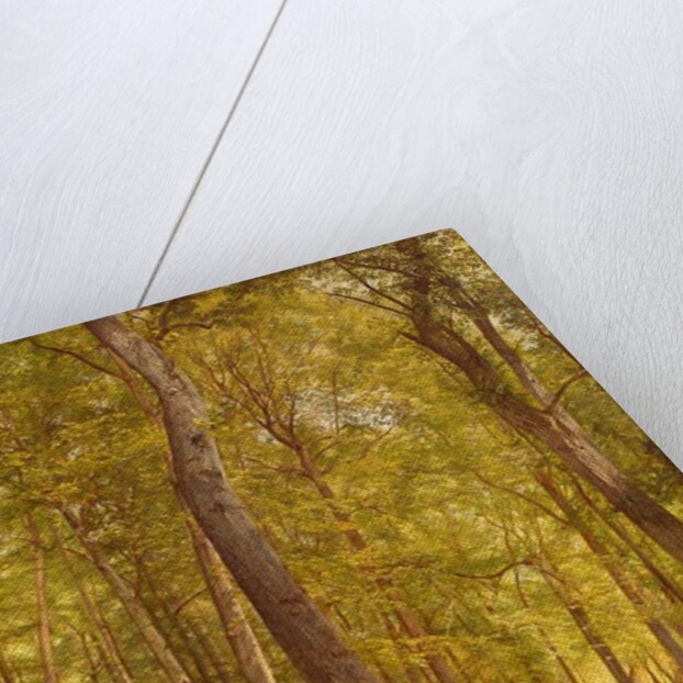 June Woods, Pennsylvania, 1864 by William Trost Richards