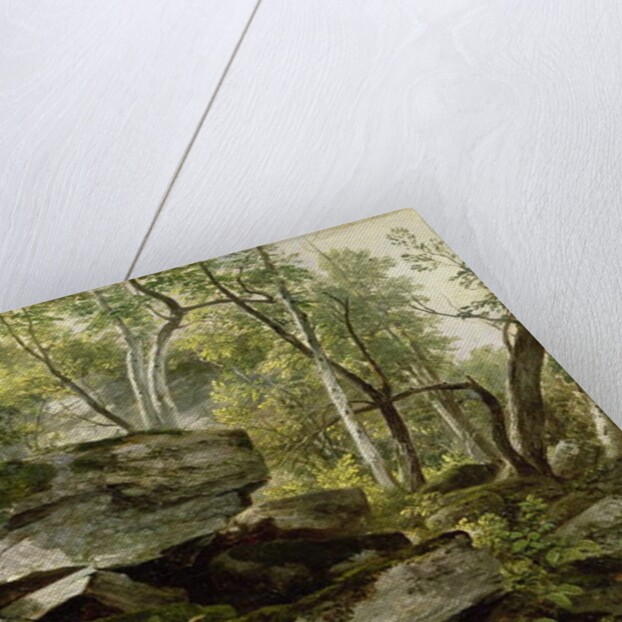 Study from Nature: Rocks and Trees, c.1856 by Asher Brown Durand