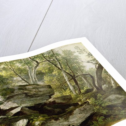 Study from Nature: Rocks and Trees, c.1856 by Asher Brown Durand