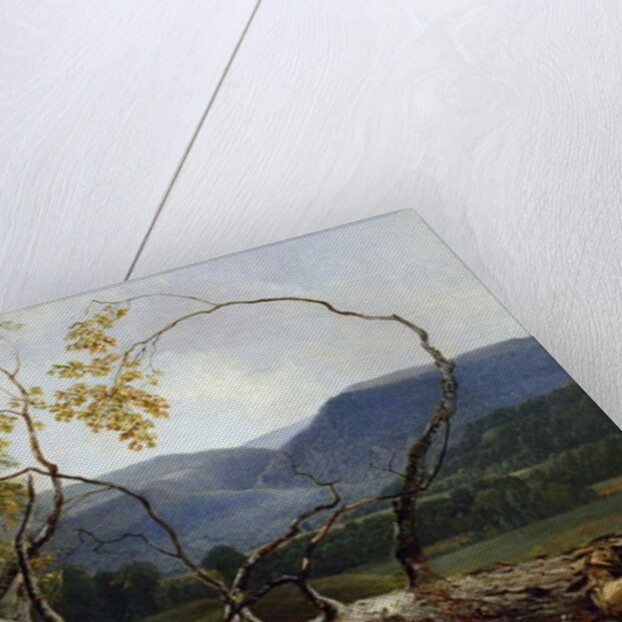 Study from Nature, Stratton Notch, Vermont, 1853 by Asher Brown Durand