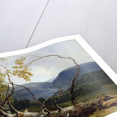 Study from Nature, Stratton Notch, Vermont, 1853 by Asher Brown Durand