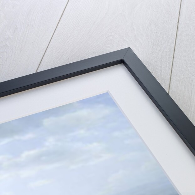 Black Mountain from the Harbor Islands, Lake George, New York, 1875 by Asher Brown Durand