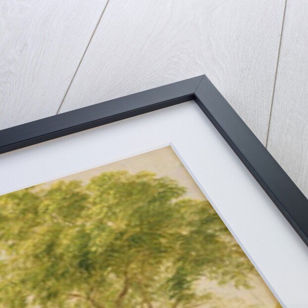 Study from Nature, Hoboken, New Jersey, c.1834 by Asher Brown Durand