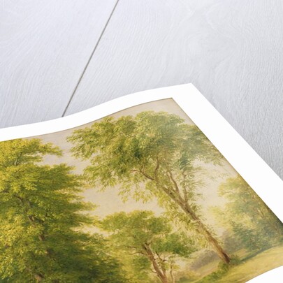 Study from Nature, Hoboken, New Jersey, c.1834 by Asher Brown Durand