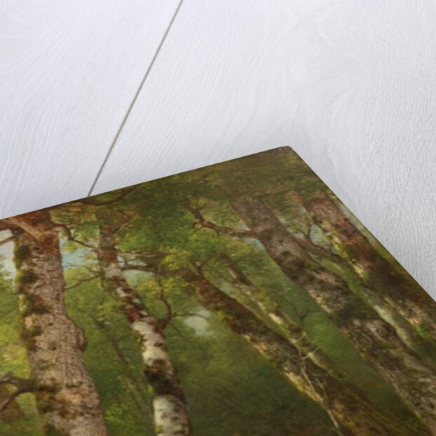 Group of Trees, 1855-77 by Asher Brown Durand