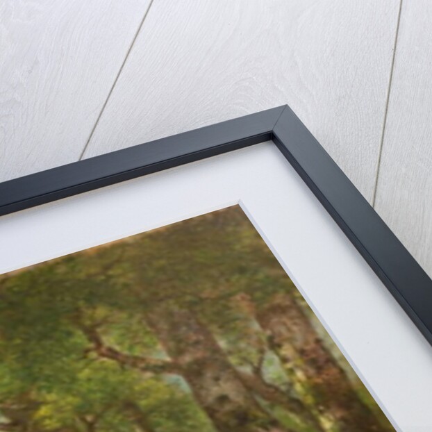 Group of Trees, 1855-77 by Asher Brown Durand