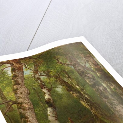 Group of Trees, 1855-77 by Asher Brown Durand