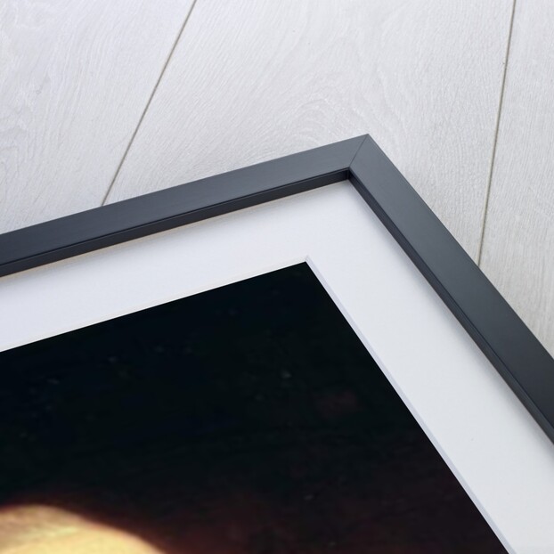 Portrait of George Washington, 1795 by Charles Willson Peale