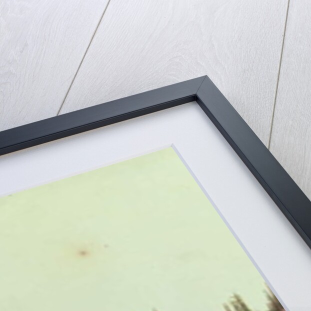 Ballston Spring, New York, 1807 by Anne Marguerite Hyde de Neuville