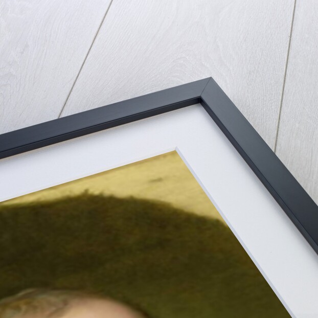 Joseph Priestley, 1801 by Rembrandt Peale