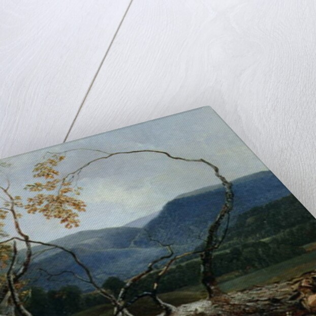 Stratton Notch, Vermont, 1853 by Asher Brown Durand