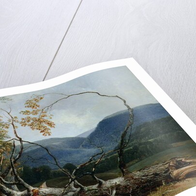 Stratton Notch, Vermont, 1853 by Asher Brown Durand