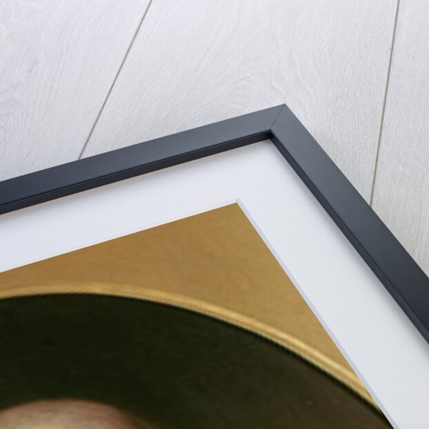 Pieter Johan van Berckel 1783-84 by Charles Willson Peale