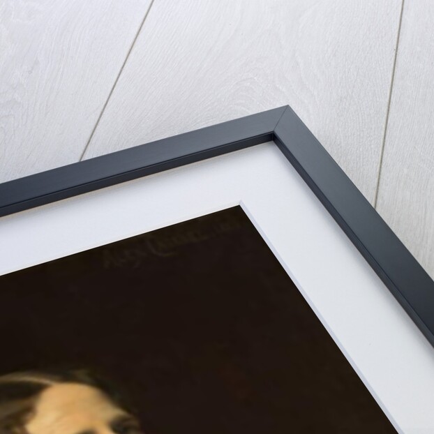 Georgina Schuyler, 1883 by Alexandre Cabanel