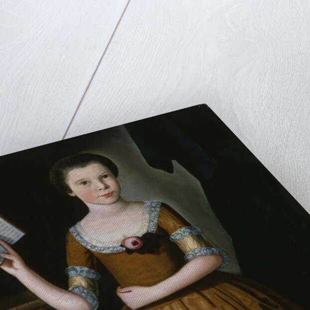 Jane Beekman, 1767 by John Durand