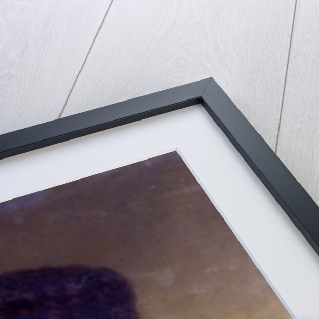 Dred Scott, c.1857 by American School