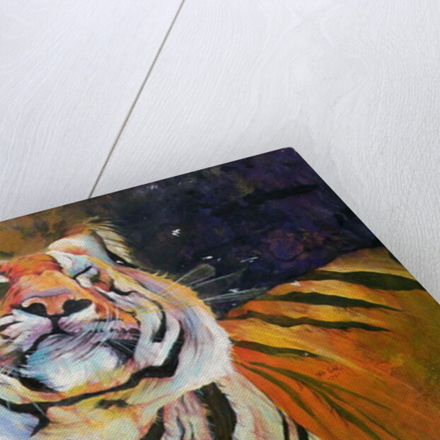 Tiger 1996 by Odile Kidd